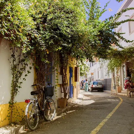 Mimosa Hotel 4*